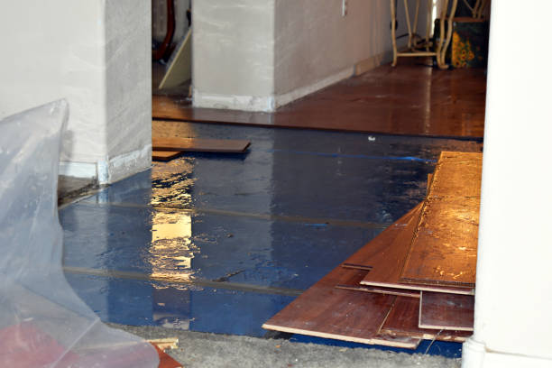 Professional Water Damage Restoration technician working in Grant, FL